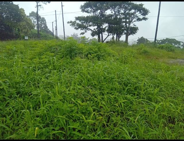 686M² VACANT LAND FOR SALE IN ZAMOKUHLE
